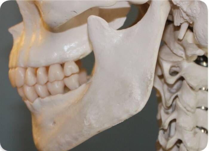 Comment soigner une perte osseuse dentaire